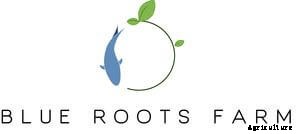 How to Design a Successful Farm Brand