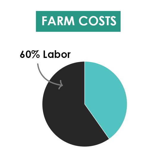 How to Find Indoor Farming Labor for Your Growing Farm