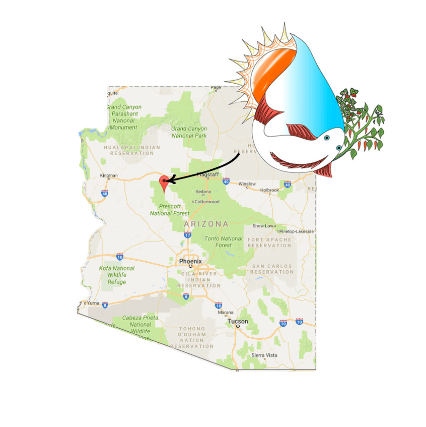 How to Engage Farmers’ Market Customers