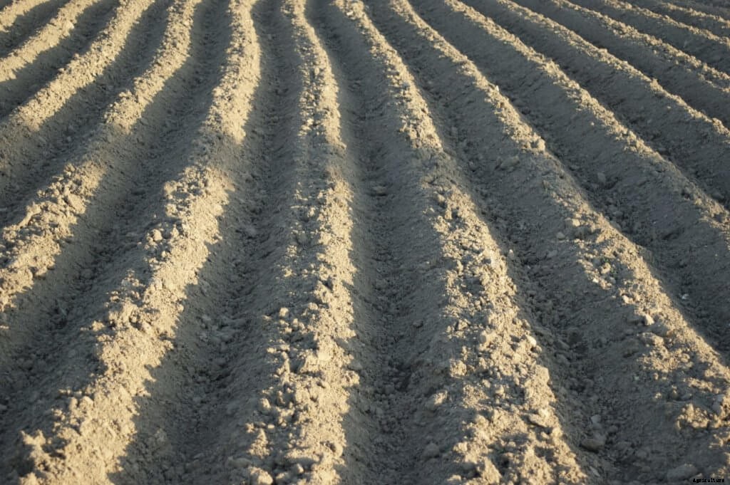 The Beginners Guide to Crowdfunding A Farm