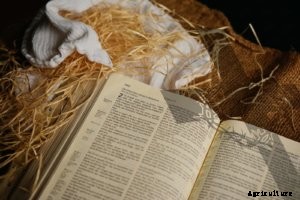 The Beginners Guide to Crowdfunding A Farm