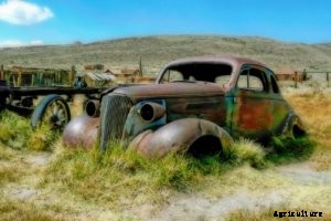 The Beginners Guide to Crowdfunding A Farm