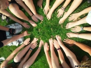 The Beginners Guide to Applying for Farm Grants