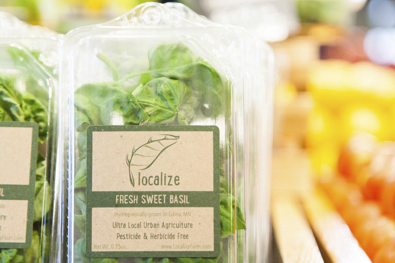 9 Reasons Why Vertical Farms Fail