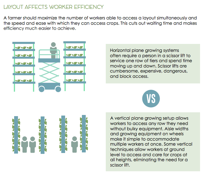 9 Reasons Why Vertical Farms Fail