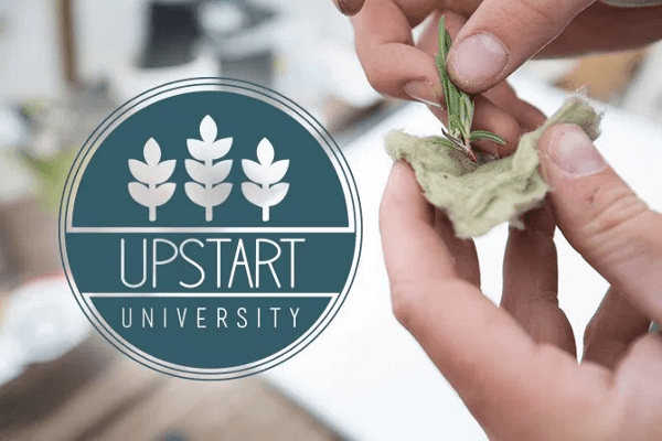 9 Reasons Why Vertical Farms Fail