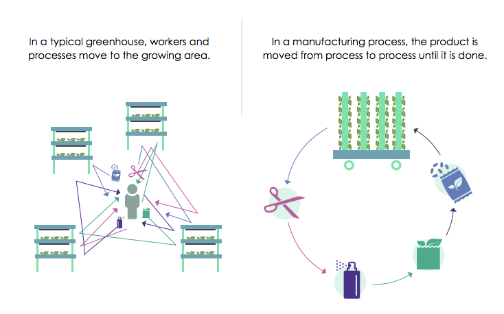 9 Reasons Why Vertical Farms Fail