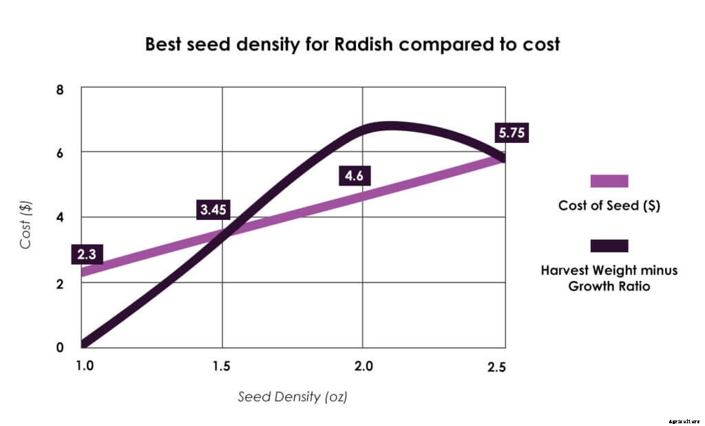 6 Ways to Grow Better Microgreens