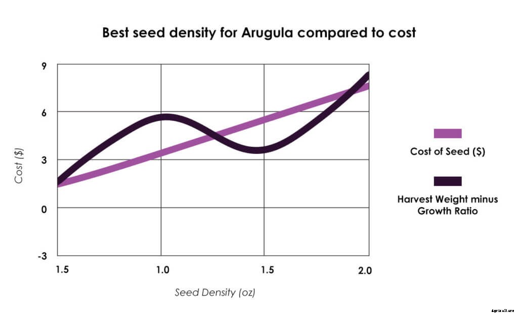 6 Ways to Grow Better Microgreens