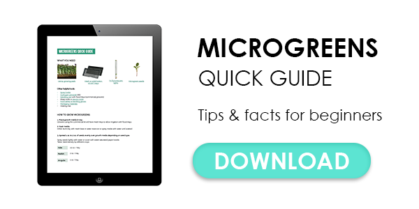 6 Ways to Grow Better Microgreens