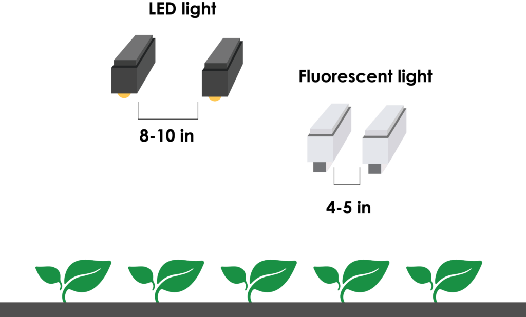 How to Give Seedlings Enough Light to Be Healthy