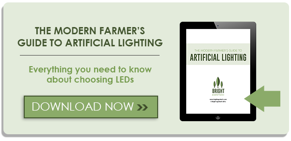 How to Give Seedlings Enough Light to Be Healthy