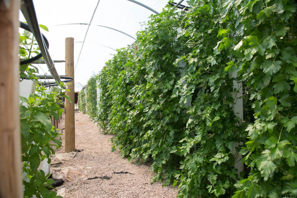 7 Reasons Why People Like You Are Starting a Modern Farm