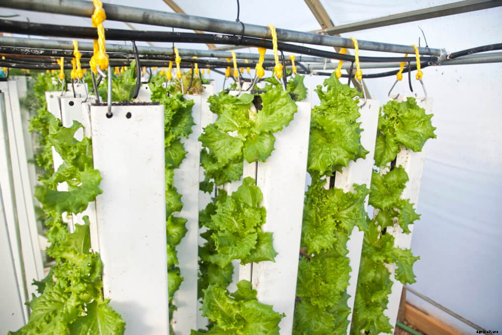 7 Reasons Why People Like You Are Starting a Modern Farm