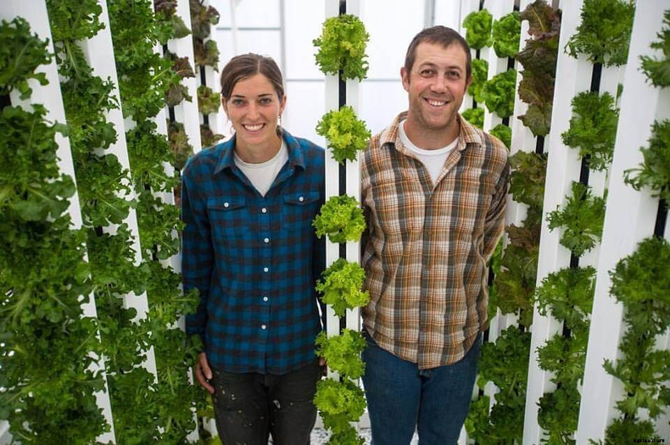 7 Reasons Why People Like You Are Starting a Modern Farm