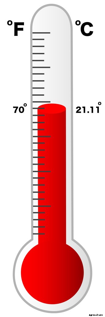 Best Temperature for Tilapia in Aquaponics Systems