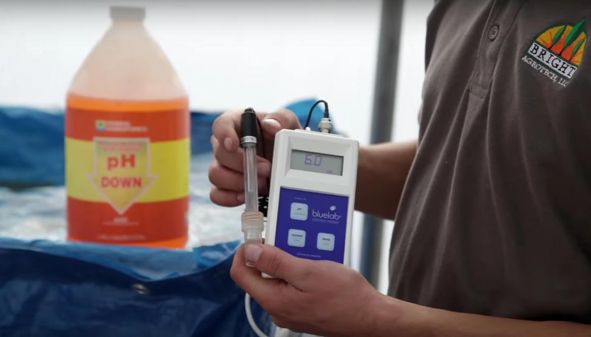 The Best Hydroponic Nutrients For Your System