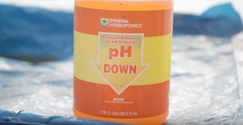 How to Measure & Adjust Hydroponic Nutrients