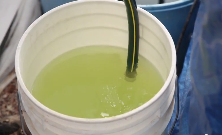 The Beginner’s Guide to Mixing Hydroponic Nutrients