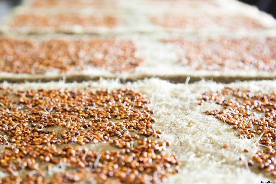 Farmer Tip: 3 Steps to Make a Great First Impression on Restaurant Prospects