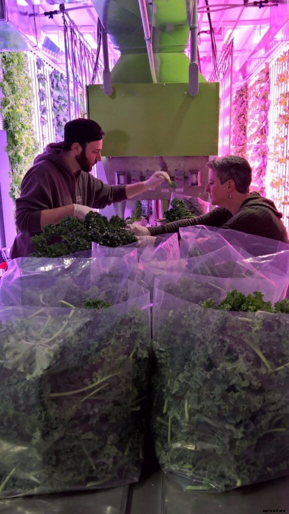 Farmer Tip: Eliminate Human Error On Your Farm