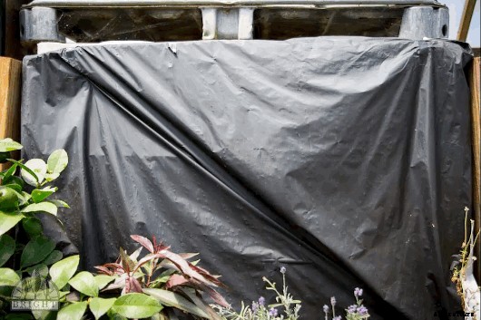 How to Manage Algae in Aquaponics and Hydroponics