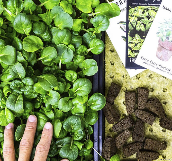 What Can Reverse Osmosis Systems Do For Farmers?