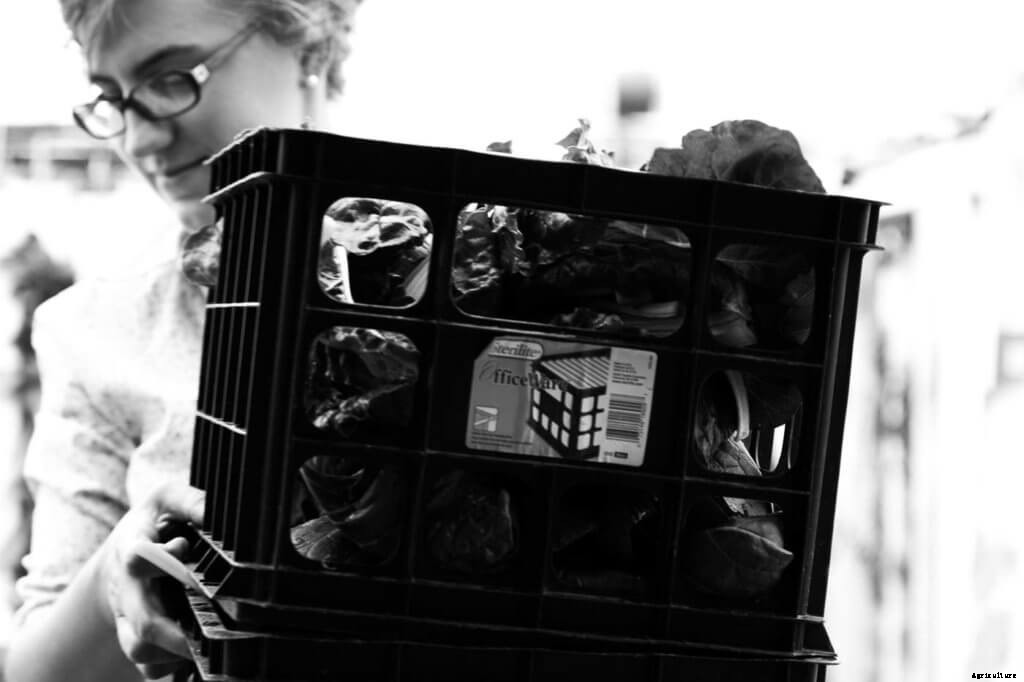 Passion, Drive, & Duty: Why Veterans Make Incredible Farmers