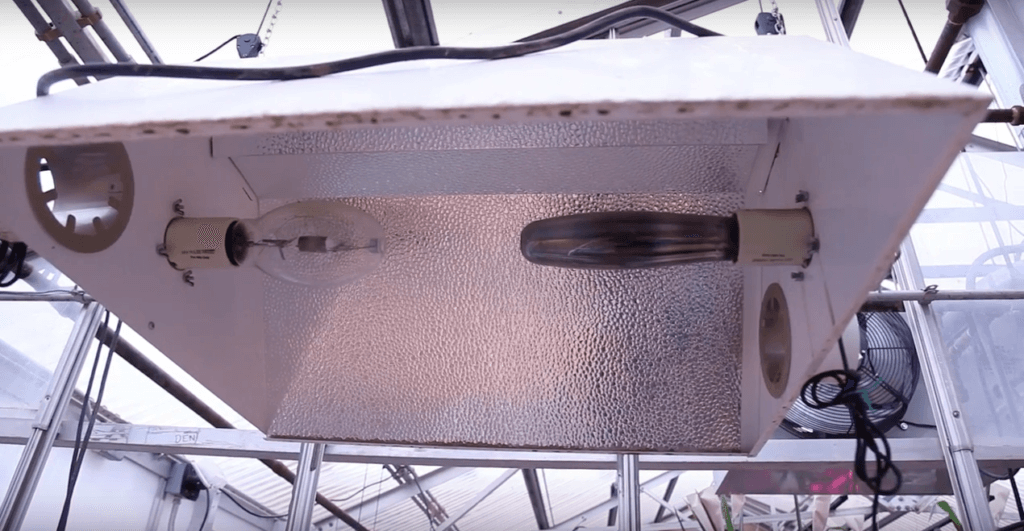 HID vs LED: How to Choose the Right Lights for Your Farm