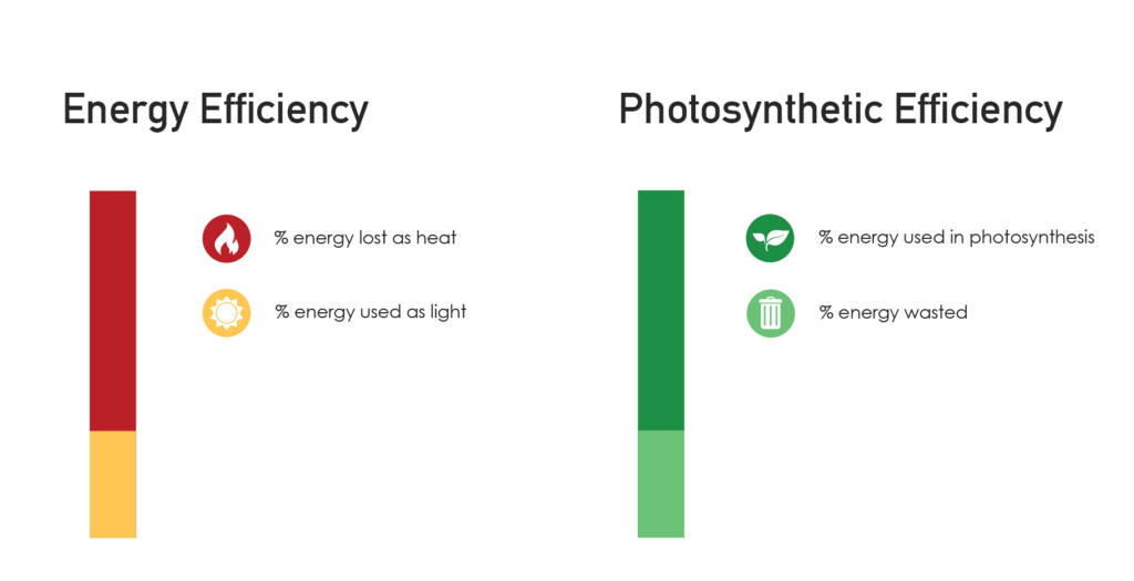 HID vs LED: How to Choose the Right Lights for Your Farm