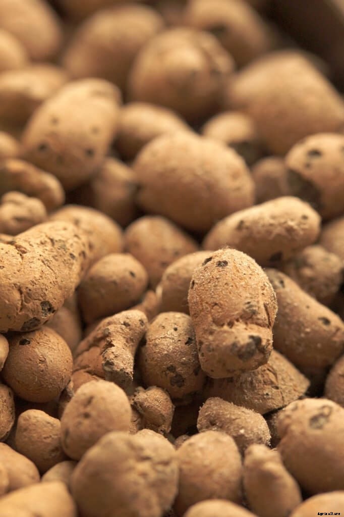 Aquaponic Media: The Surface Area Problem & How To Solve It