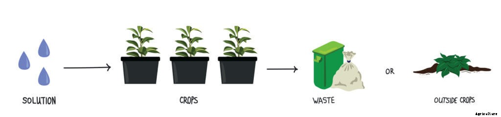 How to Build a Profitable Fertigation System in a Hoophouse