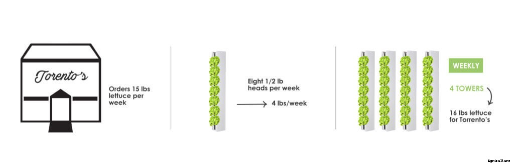 Farmer Tip #1 – How to Make a Planting Schedule