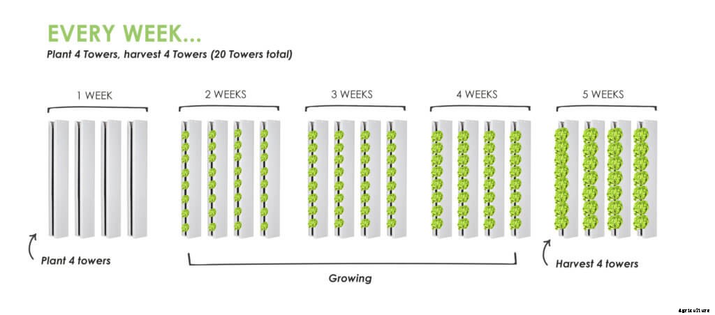 Farmer Tip #1 – How to Make a Planting Schedule