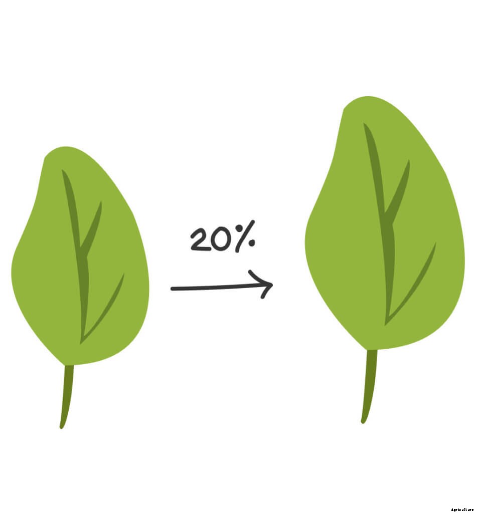 The Worst Mistake a Farmer Can Make in HVAC Design