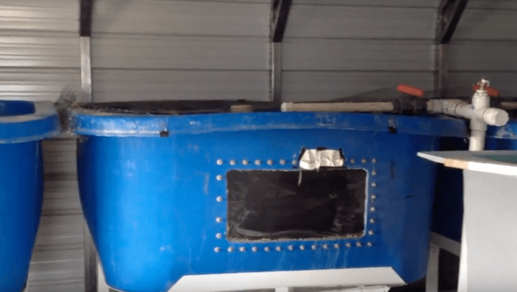 Commercial Hydroponics: Should I Build A DIY System?