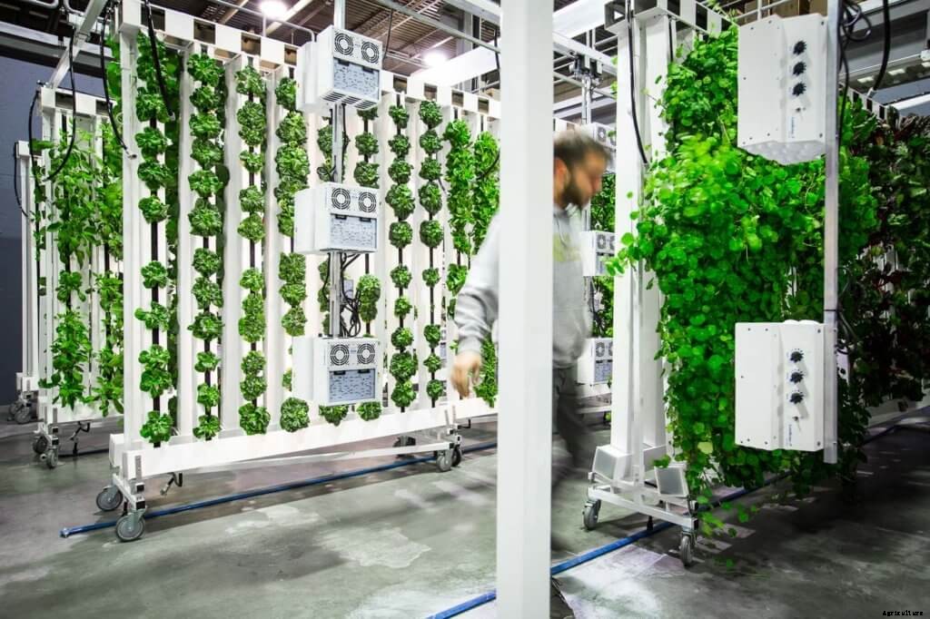 Commercial Hydroponics: Should I Build A DIY System?