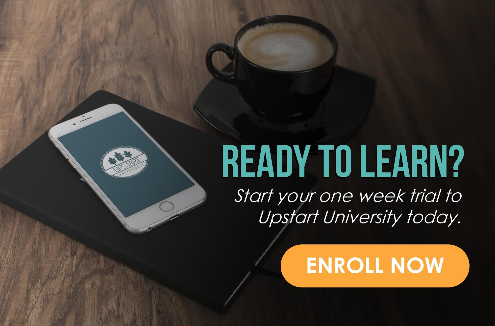 Commercial Hydroponics: Should I Build A DIY System?