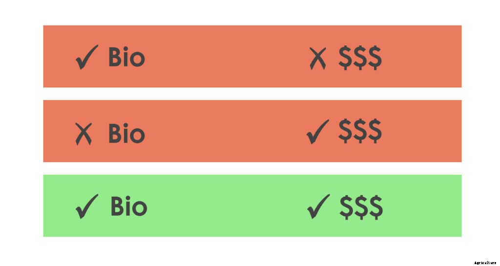 The Beginner’s Guide to the Indoor Farming Industry