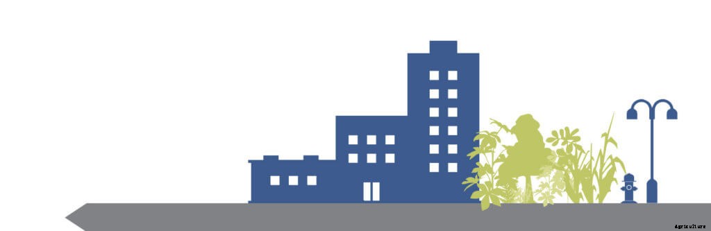 The Beginner’s Guide to the Indoor Farming Industry