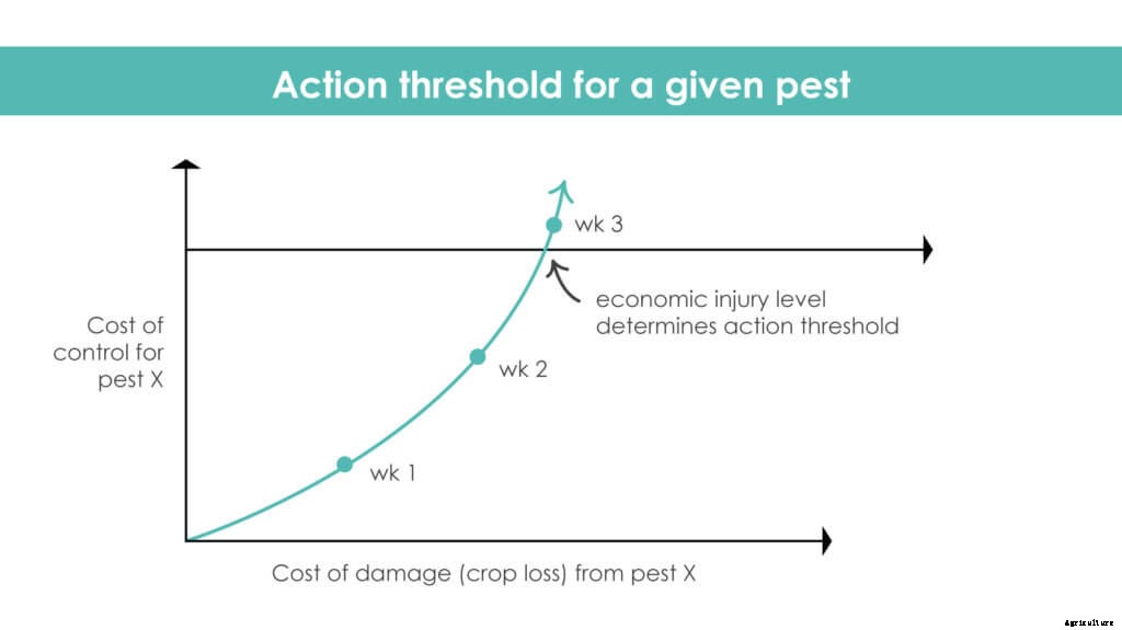 How to Get Started with Integrated Pest Management
