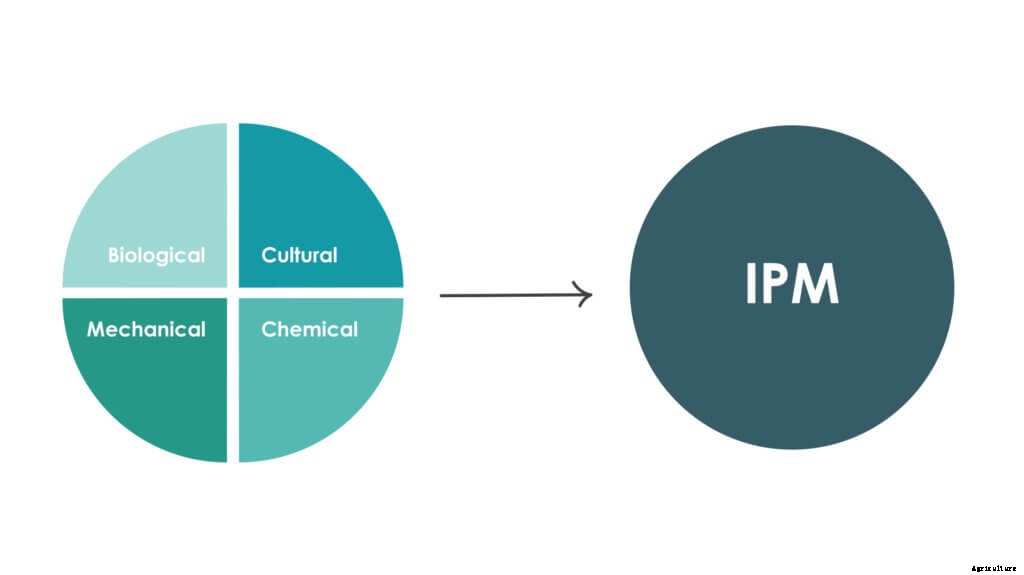 How to Get Started with Integrated Pest Management