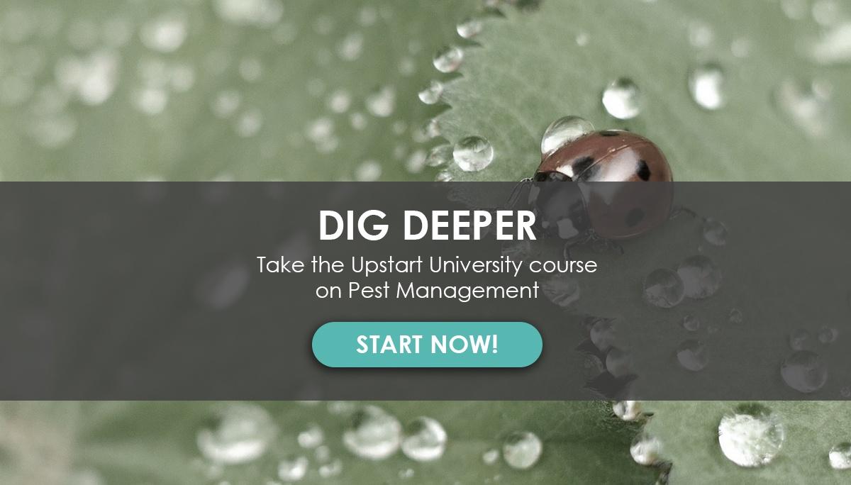 How to Get Started with Integrated Pest Management