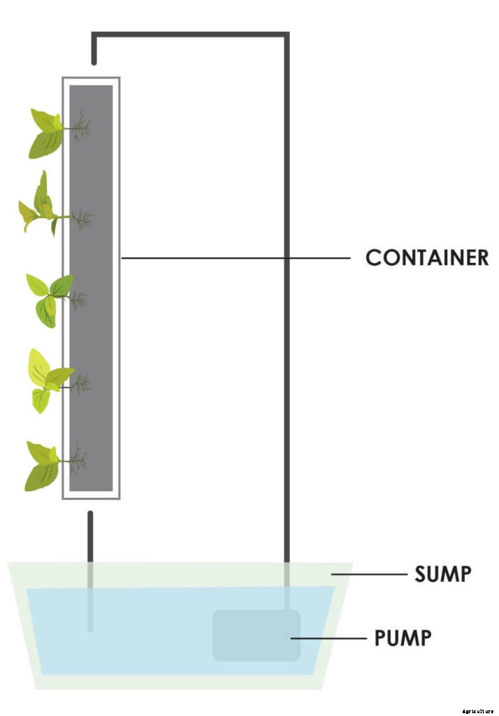 All You Need to Know to Choose a Hydroponic Design