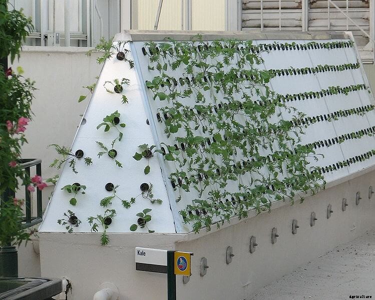 All You Need to Know to Choose a Hydroponic Design