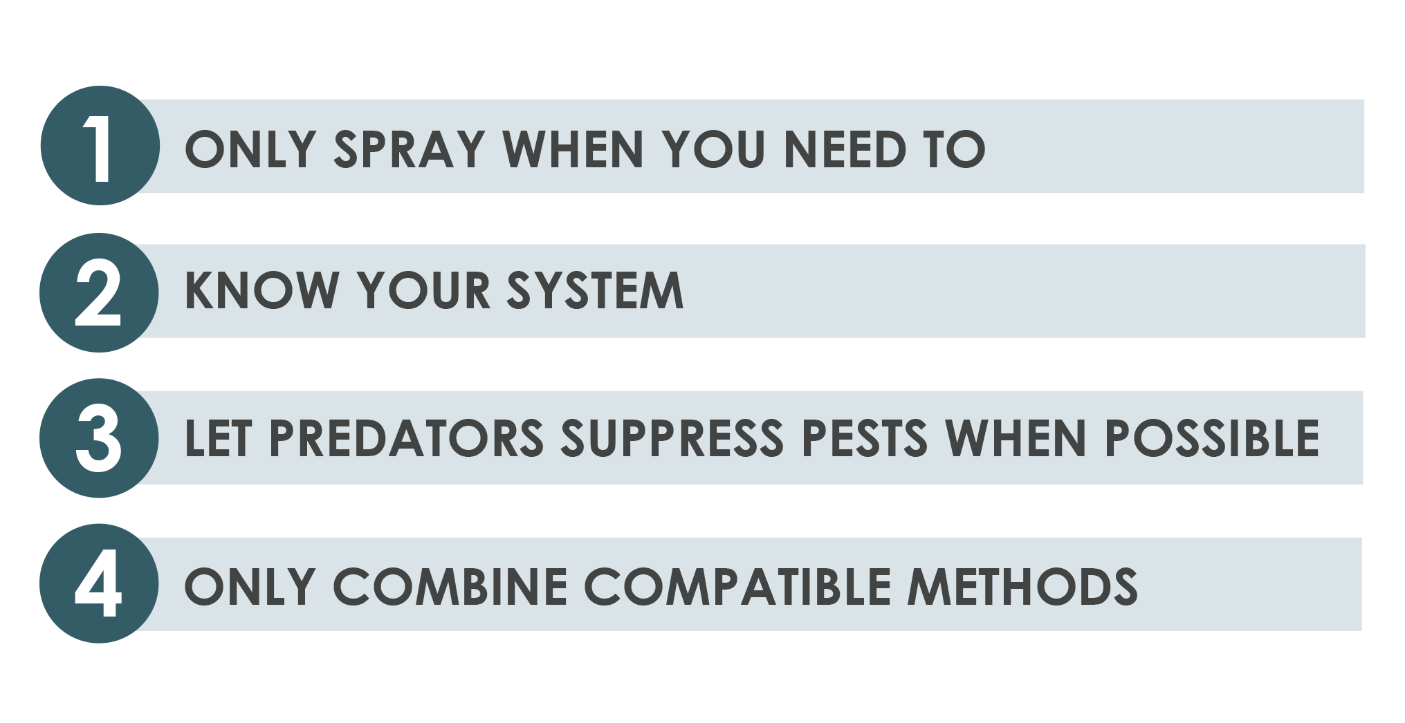 How to Use Pesticides in Aquaponics Without Hurting Your Fish
