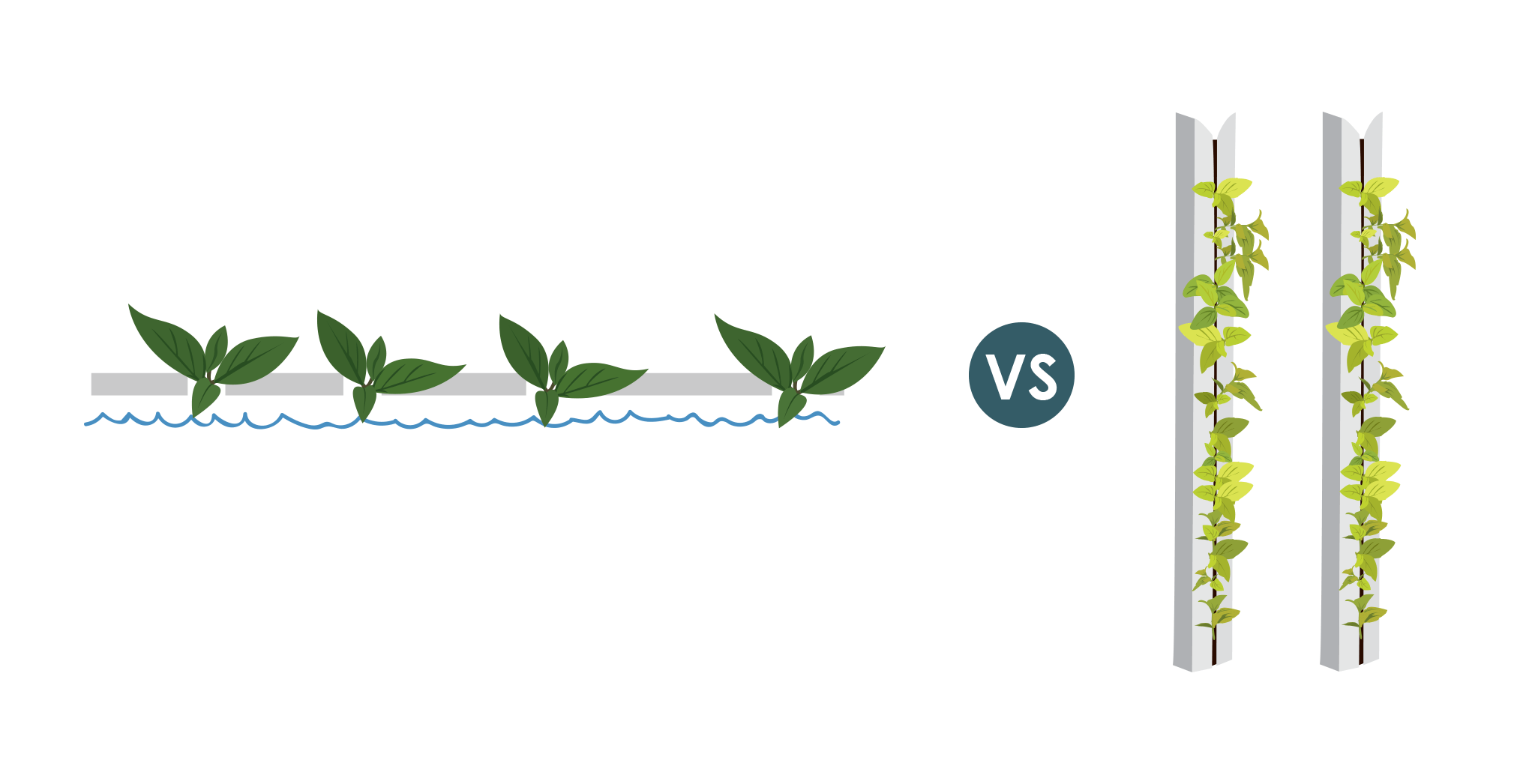 How to Use Pesticides in Aquaponics Without Hurting Your Fish