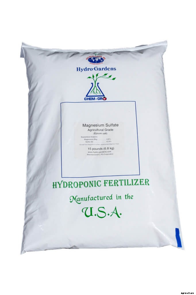 An Overview of Hydroponic Nutrient Management for Every Grower