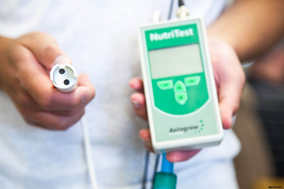 An Overview of Hydroponic Nutrient Management for Every Grower