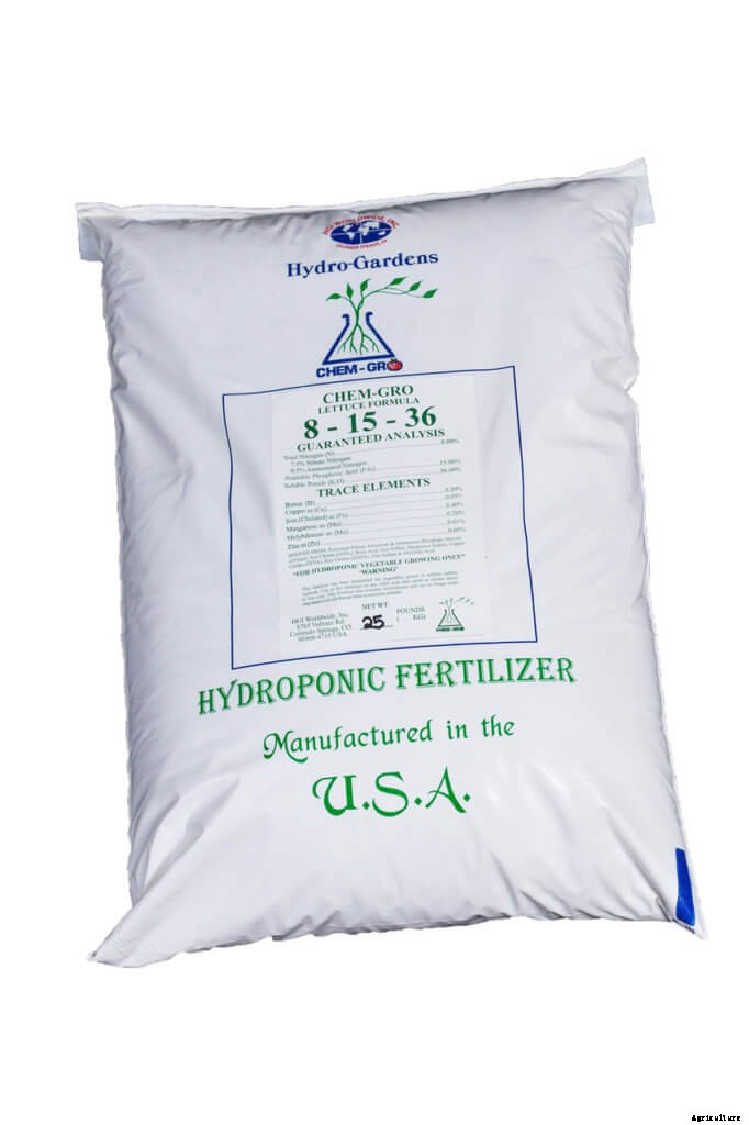 An Overview of Hydroponic Nutrient Management for Every Grower